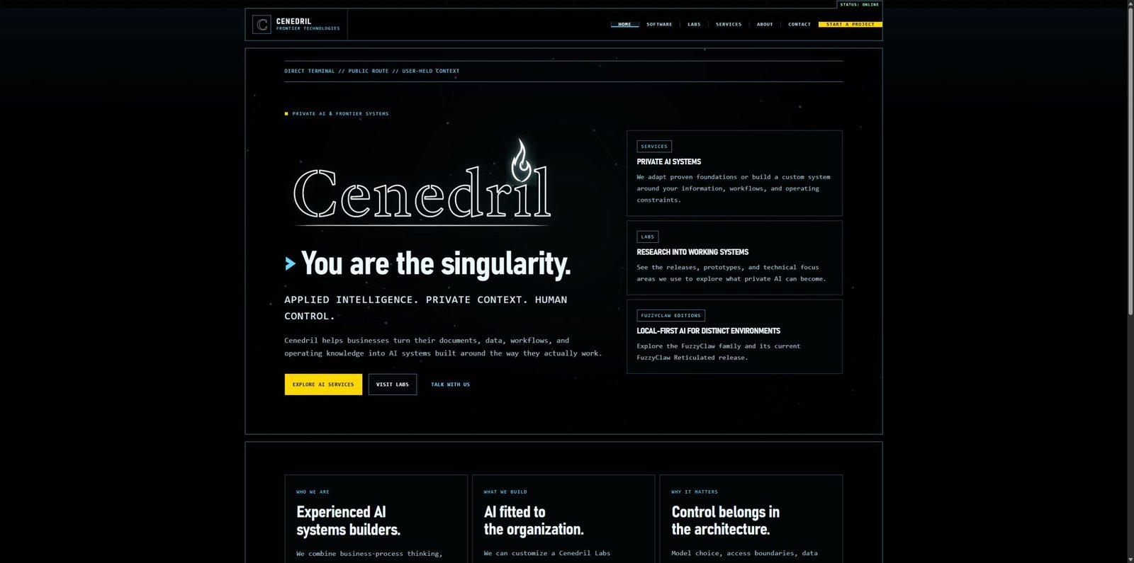 Actual public website · Cenedril’s private AI positioning
